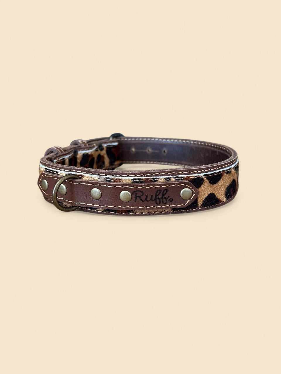 Dog Collars