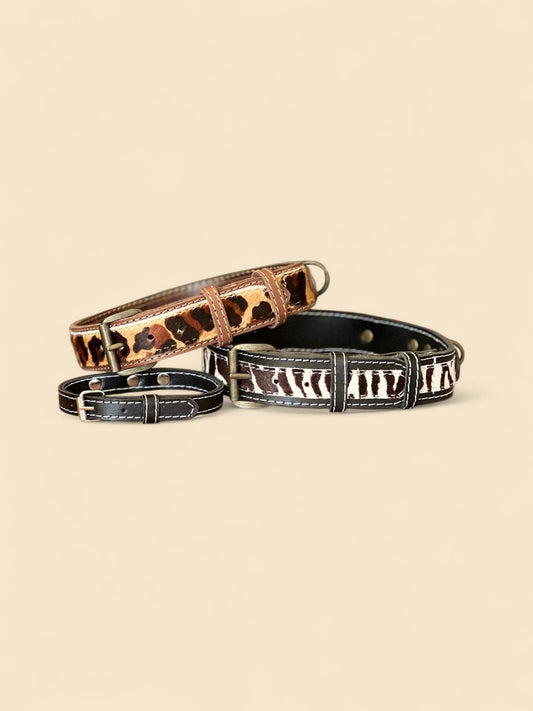 Dog Collars